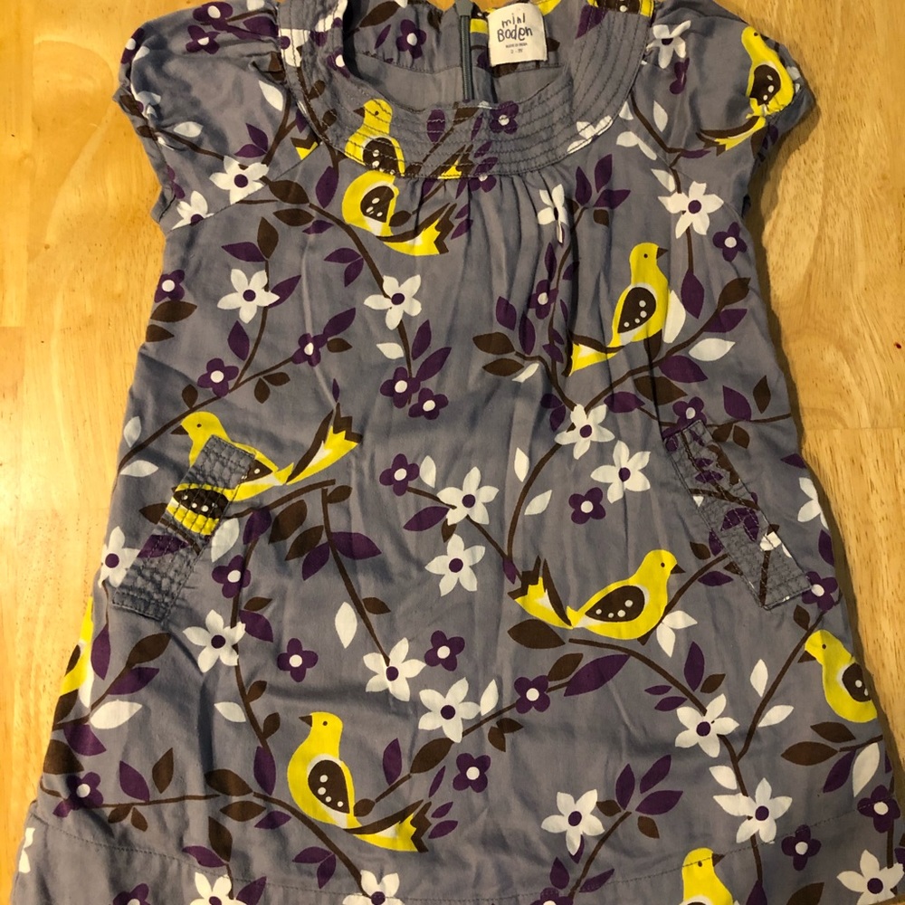 Mini Boden dress lined with pockets size 2-3Y